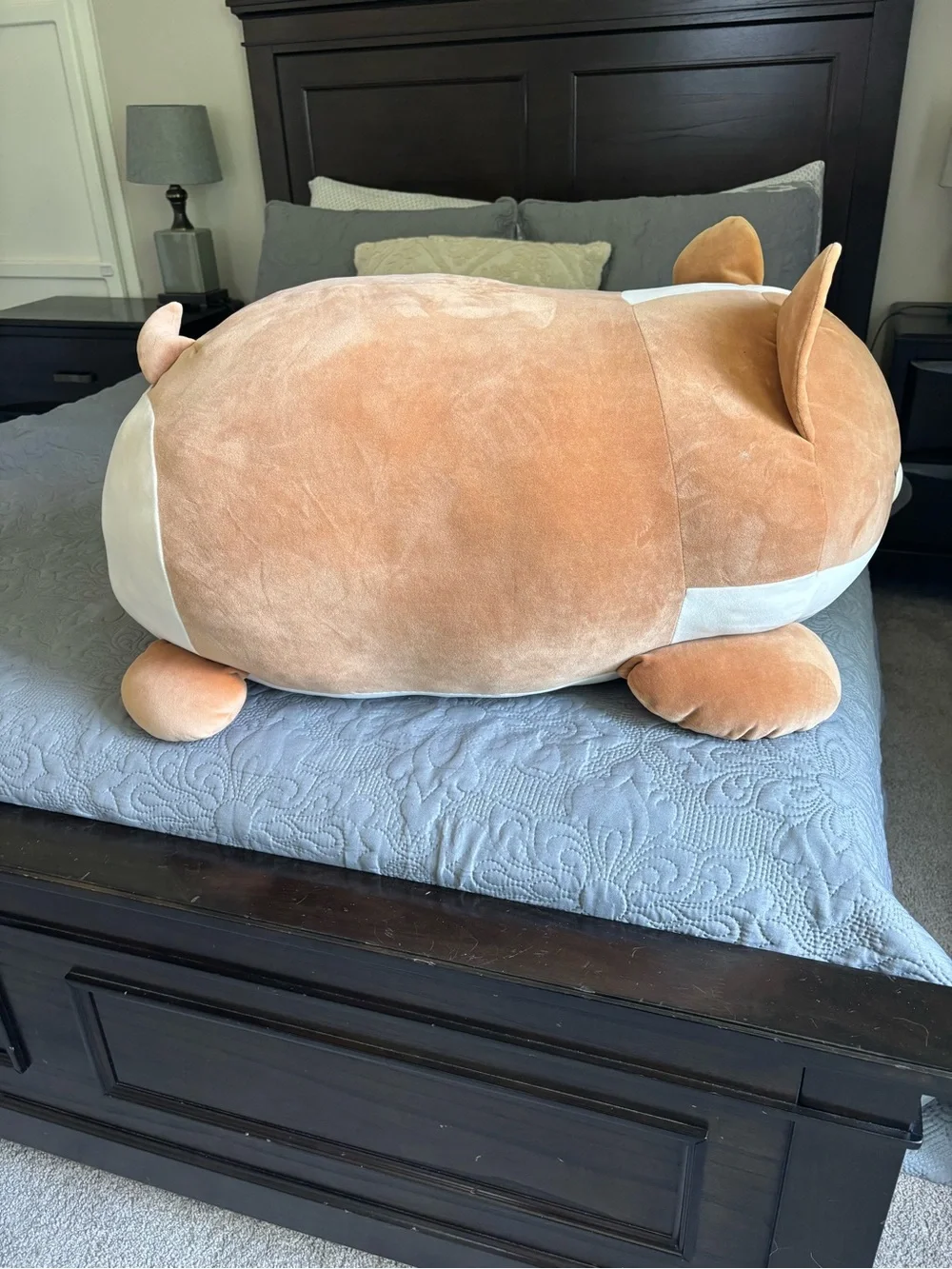 Squishmallows Sleep A Mallows Tan & White Dog or Fox Extra Large Stuffed Animal